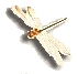 dragonfly link to the home page