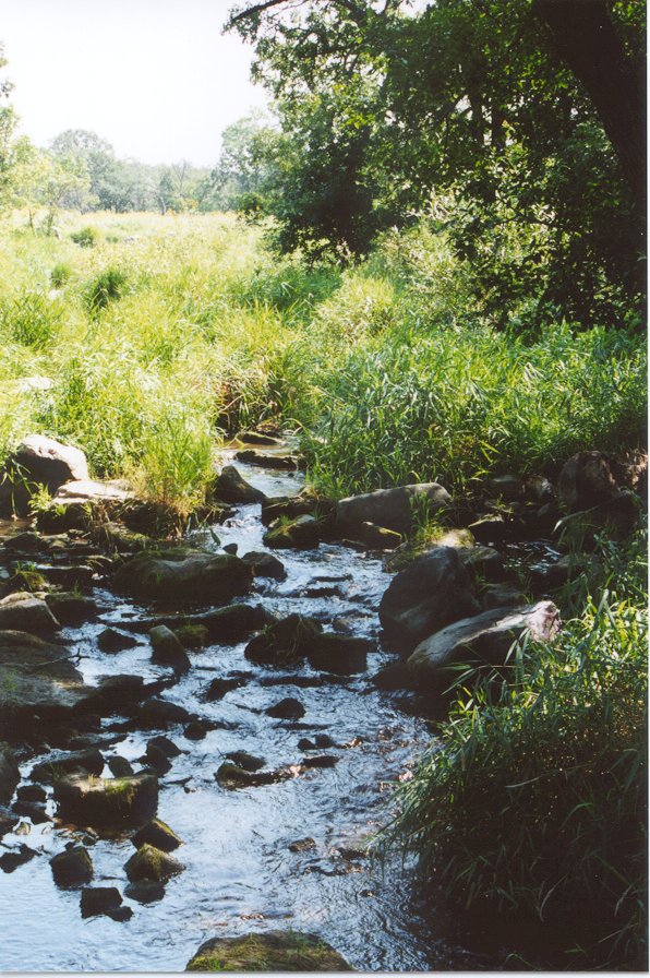 stream