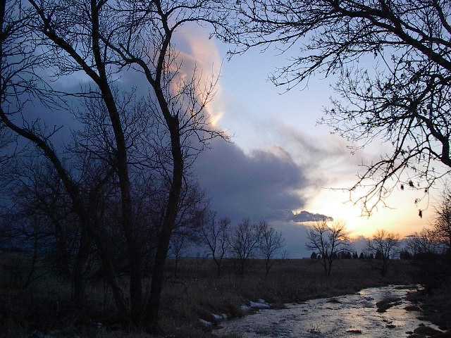 the stream at dusk