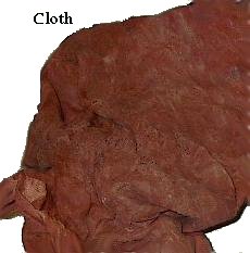 cloth