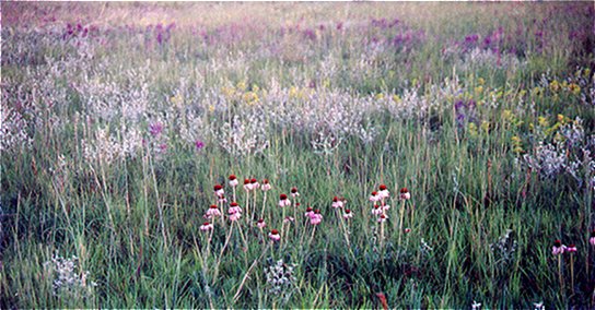 Scenery around the quarry tops