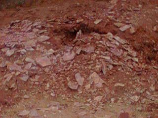 The top of one of the Jasper quarry sites.  The quarry is just below the  hump of stones.  A back hoe has made this hole and it is wide and gaping once you get nearer to it.